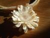 Pearl flower closeup